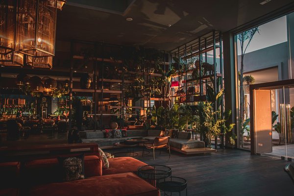 Comment structurer une carte de vins biodynamiques pour un restaurant écologique?